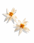P a l a u || Petals